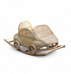 ROBIN KIDS CAR