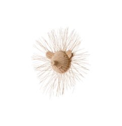 HEDGEDOG RATTAN ANIMAL HEAD