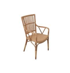 JUZIE DINNING CHAIR